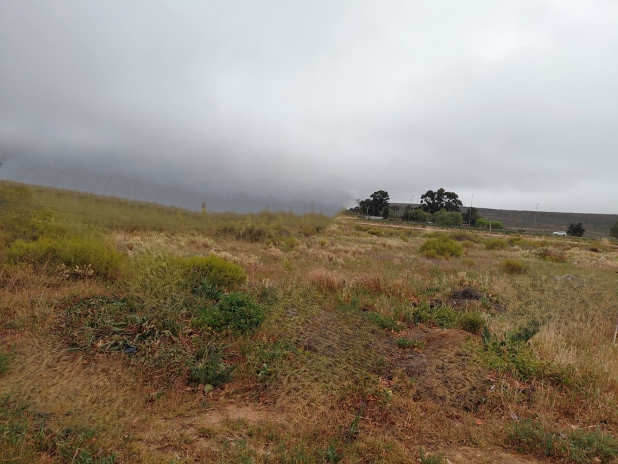 0 Bedroom Property for Sale in Touws River Western Cape